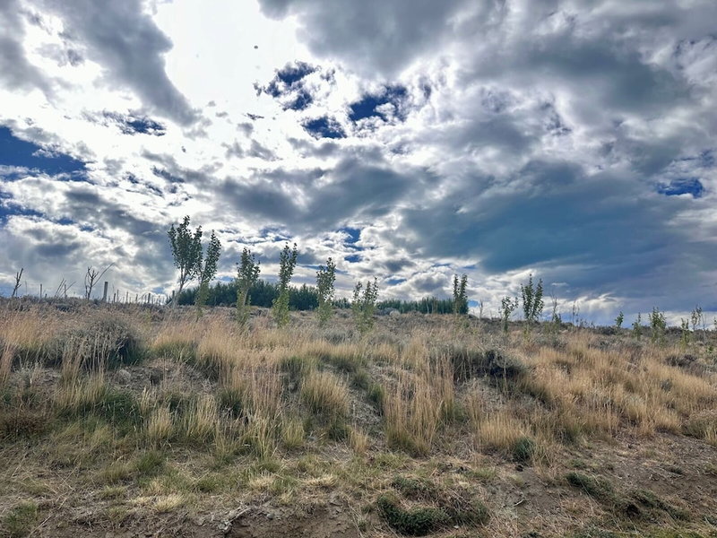 Edenia Punta Soberana, El Calafate, Argentina