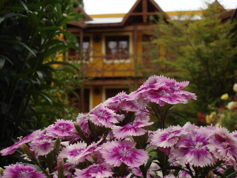 Kau Kaleshen, El Calafate, Argentina