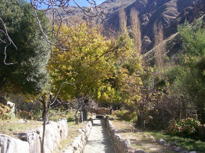 Vieja Posada Hotel Histórico, Cafayate, Argentina