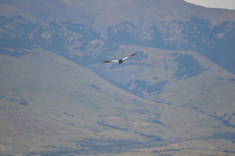 MadreTierra Patagonia, El Calafate, Argentina