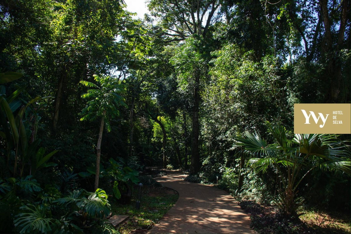 Yvy Hotel de Selva, Argentina