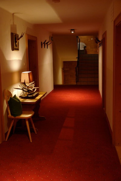 Hotel Gamshof, Kitzbühel, Austria