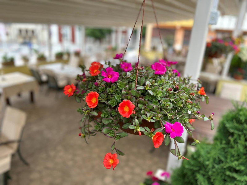 Hotel Anna Palace, Ruse, Bulgarie