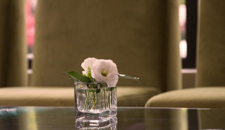 Triada Hotel, Sofia, Bulgarie