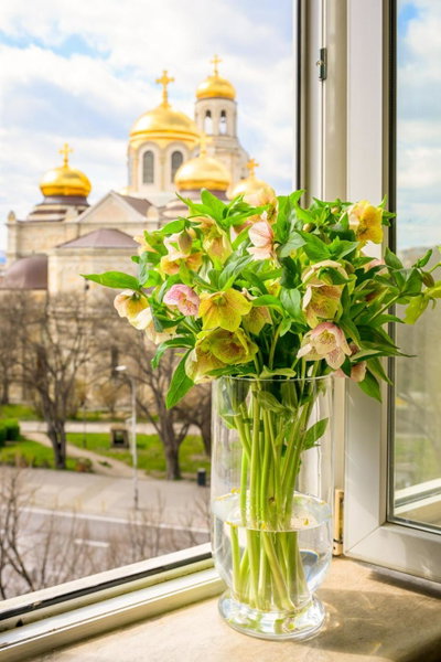 Boutique Splendid Hotel, Varna, Болгария