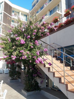 Hotel Slavey - All Inclusive, Varna, Болгария