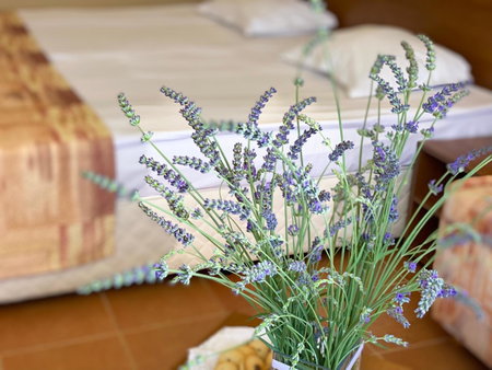 Hotel Plamena Palace, Primorsko, Bulgaria