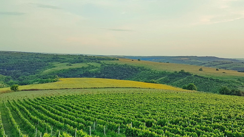 Seven Generations Winery Hotel & SPA, Bulgaria