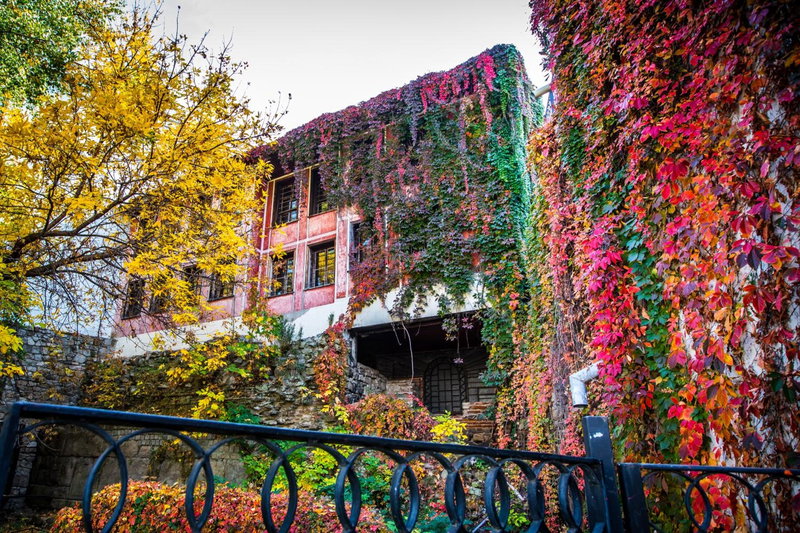Business Hotel Plovdiv - Central Location, Plovdiv, Болгария