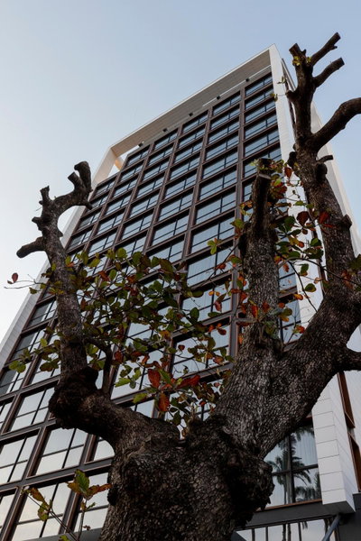 LK Design Hotel Florianópolis, Florianopolis, Brazil