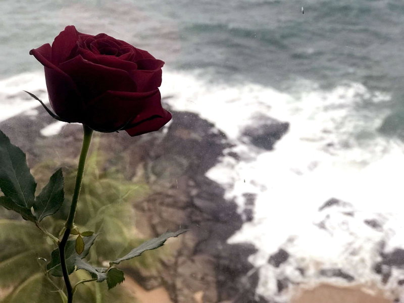 Mercure Salvador Rio Vermelho, Salvador, Бразилия