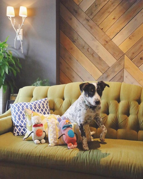 Summit Lodge Boutique Hotel by Paradox, Whistler, Canada