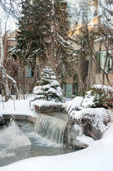 Hotel Bonaventure Montreal, Montreal, Канада