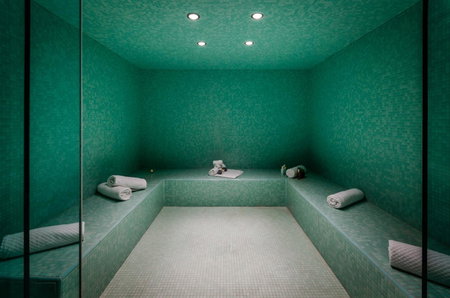 Hôtel Birks Montréal, Montreal, Canada