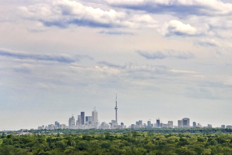 Crowne Plaza Toronto - North York by IHG, Henry Farm, Канада