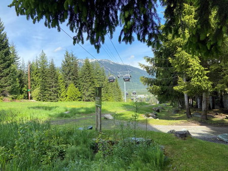 Blackcomb Springs Suites by CLIQUE, Whistler, Kanada