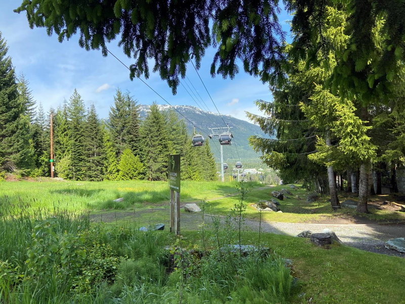 Blackcomb Springs Suites by CLIQUE, Whistler, Kanada