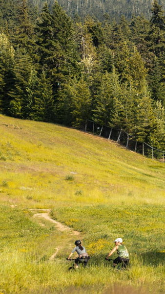 Blackcomb Springs Suites by CLIQUE, Whistler, Kanada