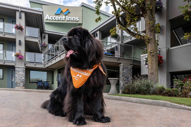Accent Inns Kelowna, Kelowna, Canada