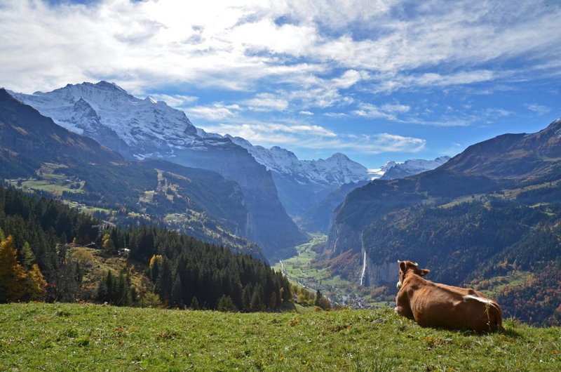Hotel Victoria Lauberhorn Wengen, a Faern Collection Hotel, Wengen, Швейцария