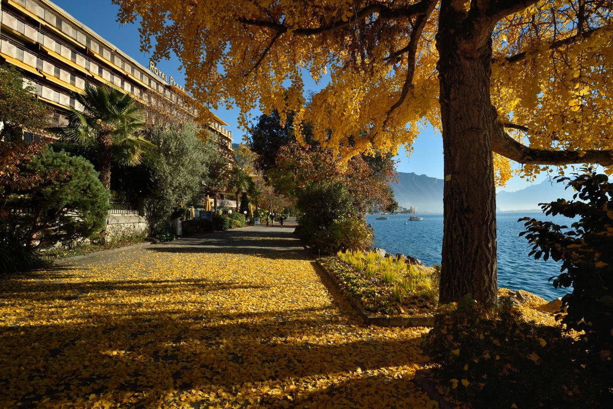 Royal Plaza Montreux, Швейцария