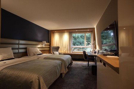 Mövenpick Hotel Lausanne, Lausanne, Швейцария