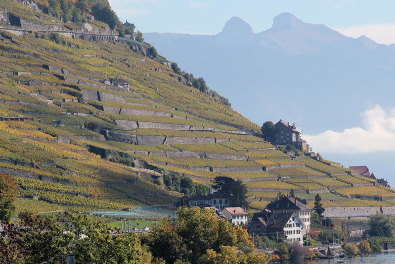 Hotel Lavaux, Pully, Schweiz