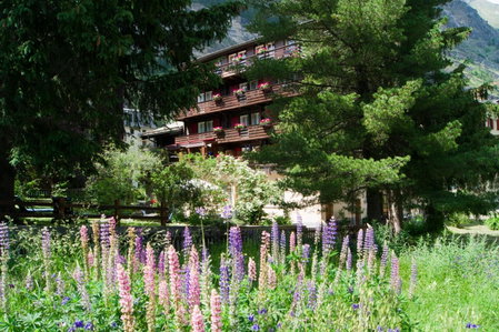 Hotel Alpina, Zermatt, Schweiz
