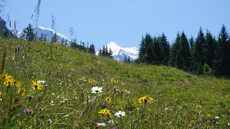Alpenkräuter Hotel Bären, Wengen, Switzerland