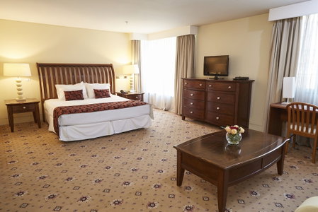 Hotel Torremayor Lyon, Villa Presidente Frei, Chile