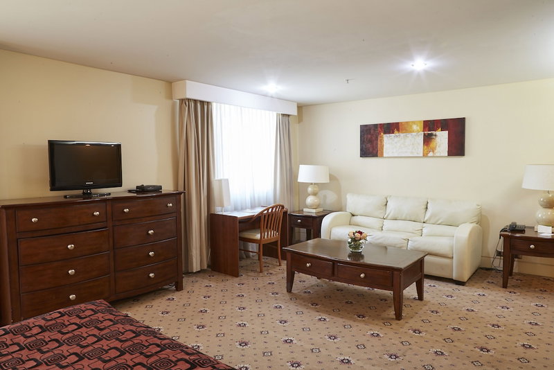 Hotel Torremayor Lyon, Villa Presidente Frei, Chile
