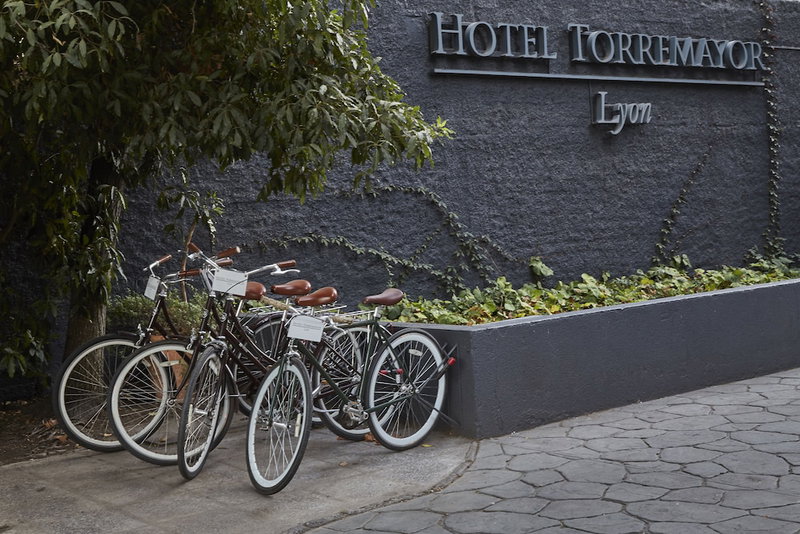 Hotel Torremayor Lyon, Villa Presidente Frei, Chile