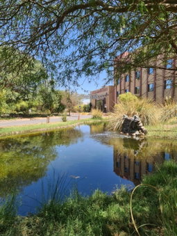 Hotel Agua del Desierto, Calama, Chili