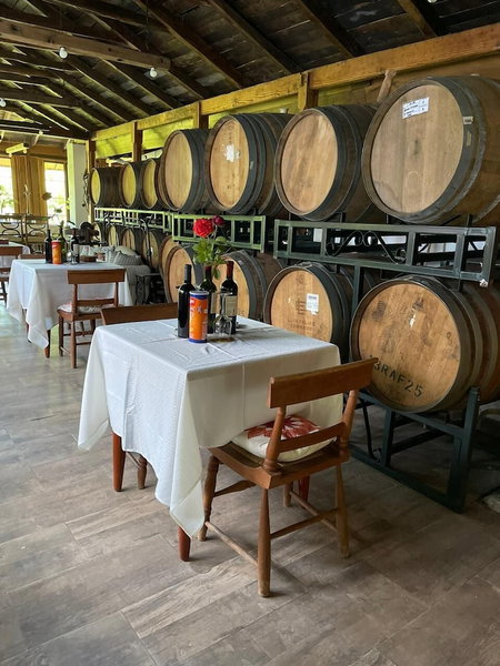 Hotel Vendimia Parador, Santa Cruz, Chile