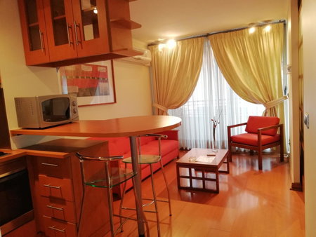 Andes Suites, Villa Presidente Frei, Chili