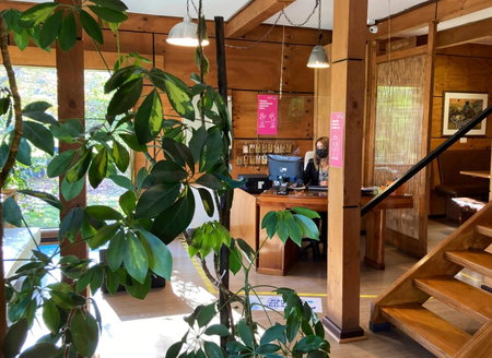 Hotel Truyaca, Osorno, Chile