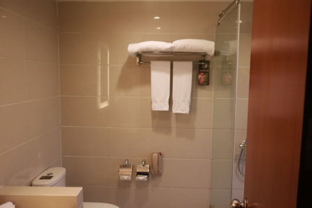 Novotel Shanghai Atlantis, Zhabei, 中国