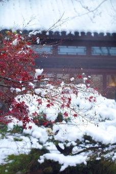 Four Seasons Hotel Hangzhou at West Lake, Hangzhou, 中国