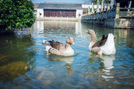 Four Seasons Hotel Hangzhou at West Lake, Hangzhou, 中国