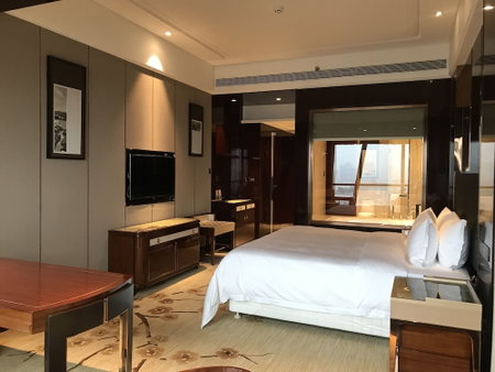 Guangzhou Estandon Hotel, Dasha, 中国