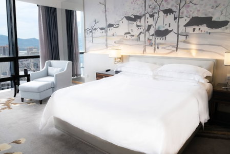 Shenzhen Huaqiang Plaza Hotel, Shenzhen, 中国