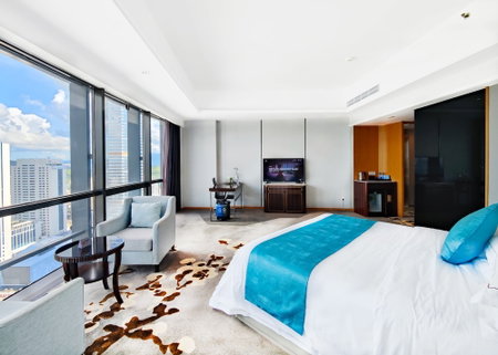 Shenzhen Huaqiang Plaza Hotel, Shenzhen, 中国