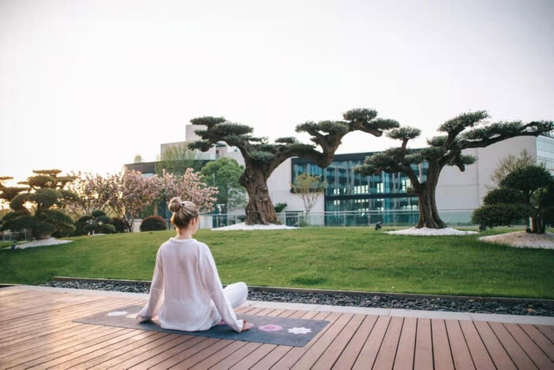 The Anandi Hotel and Spa Shanghai, Shanghai, 中国