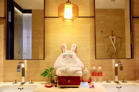 HUALUXE Shanghai Twelve At Hengshan by IHG, Shanghai, 中国