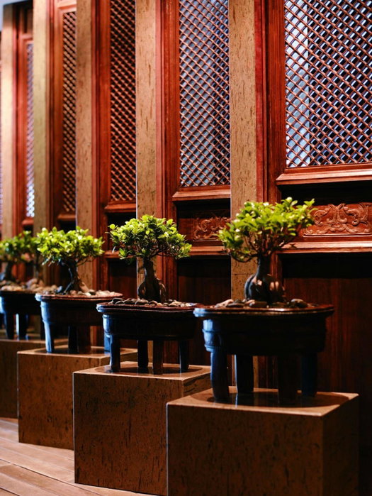 Grand Hyatt Hangzhou, Hangzhou, 中国