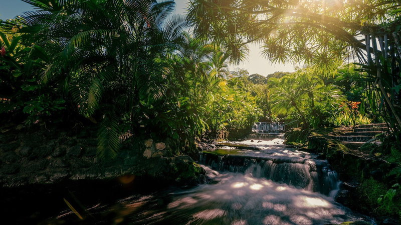Tabacón Thermal Resort & Spa, La Fortuna, Коста-Рика