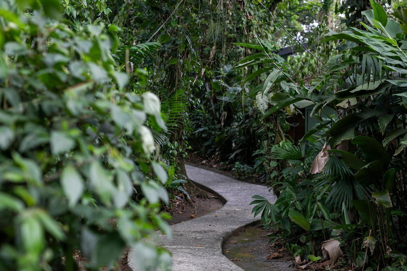Sangregado Lodge, Fortuna, Costa Rica