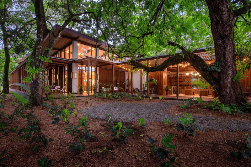 Botanika Osa Peninsula, Curio Collection By Hilton, Puerto Jiménez, Costa Rica