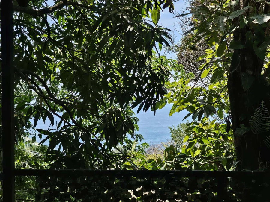 Mango Moon Villa, Manuel Antonio, Costa Rica