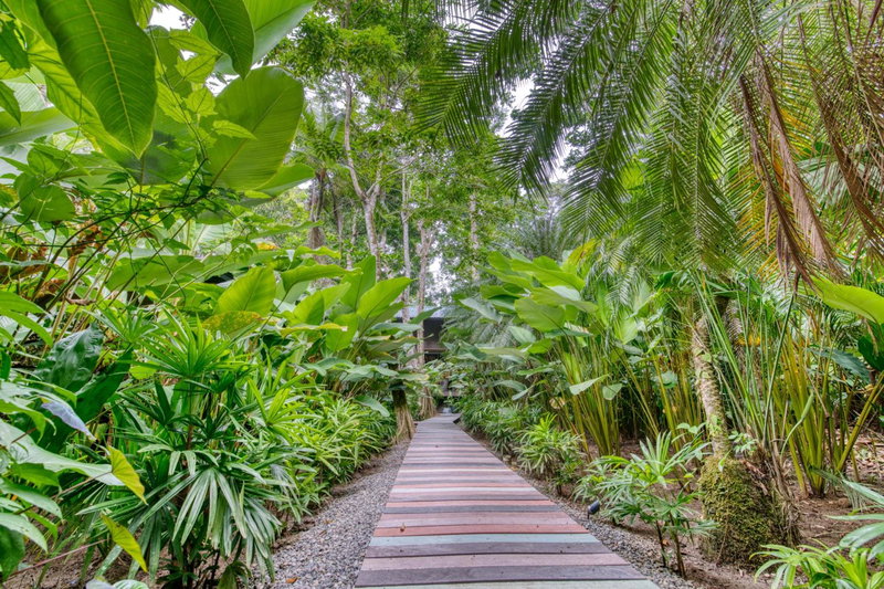 awā Beachfront Hotel, Puerto Viejo, Costa Rica